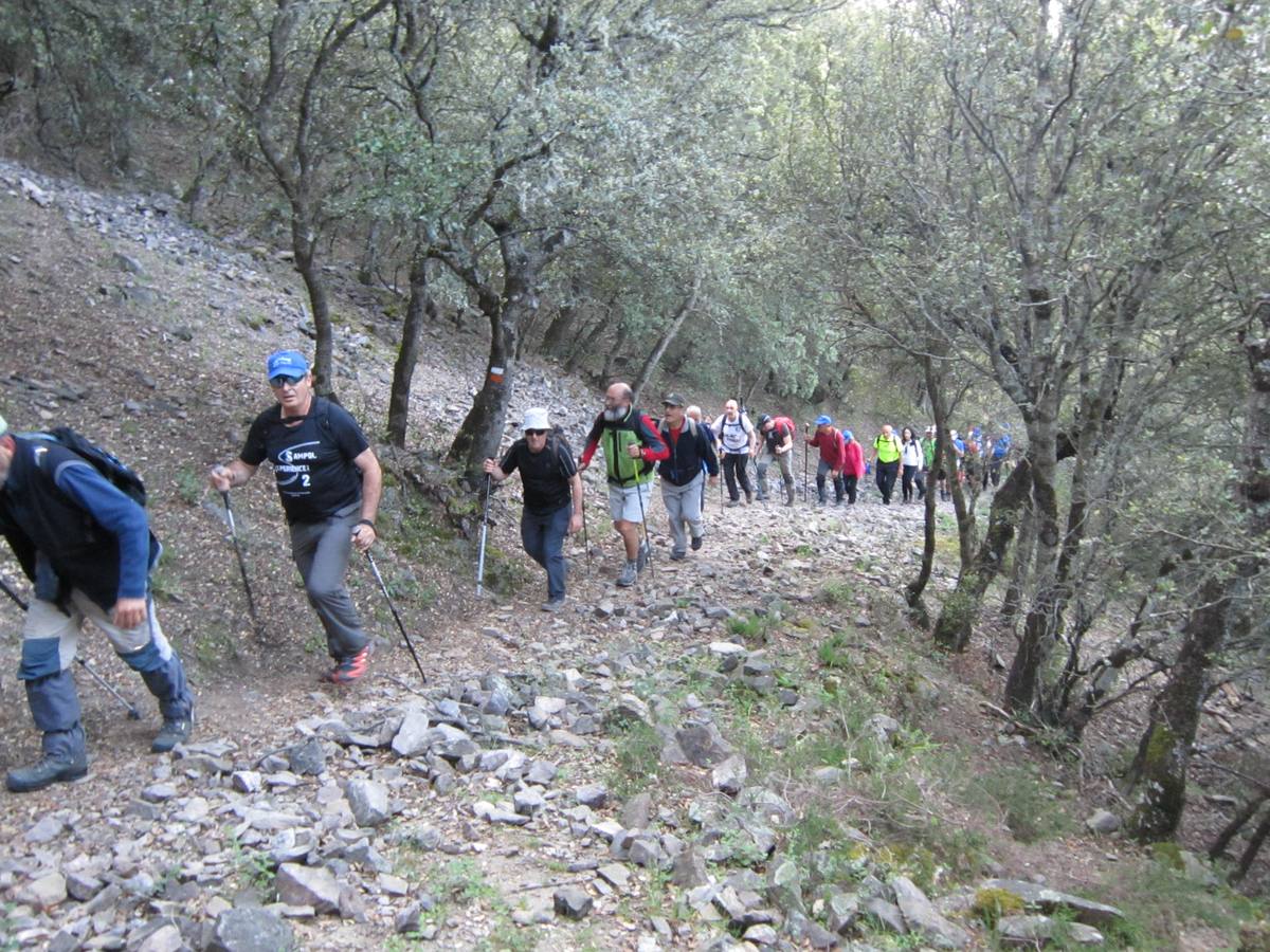 Marcha por los montes de Anguiano