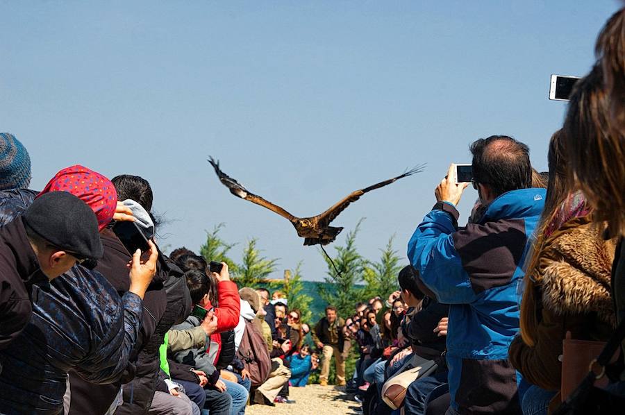 Un Día de La Rioja entre rapaces