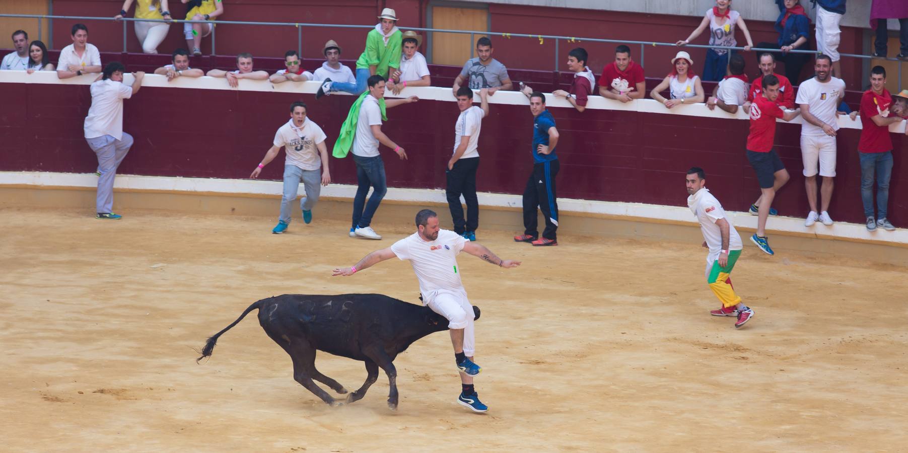 Peñistas, ¡al toro!