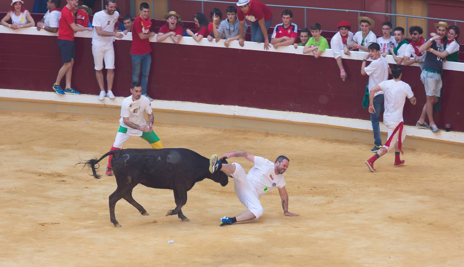 Peñistas, ¡al toro!