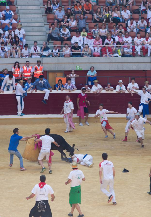 Peñistas, ¡al toro!