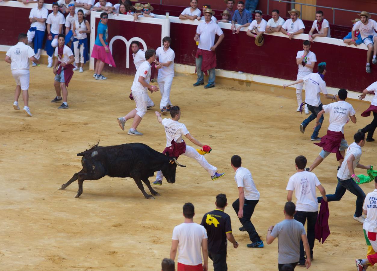 Peñistas, ¡al toro!