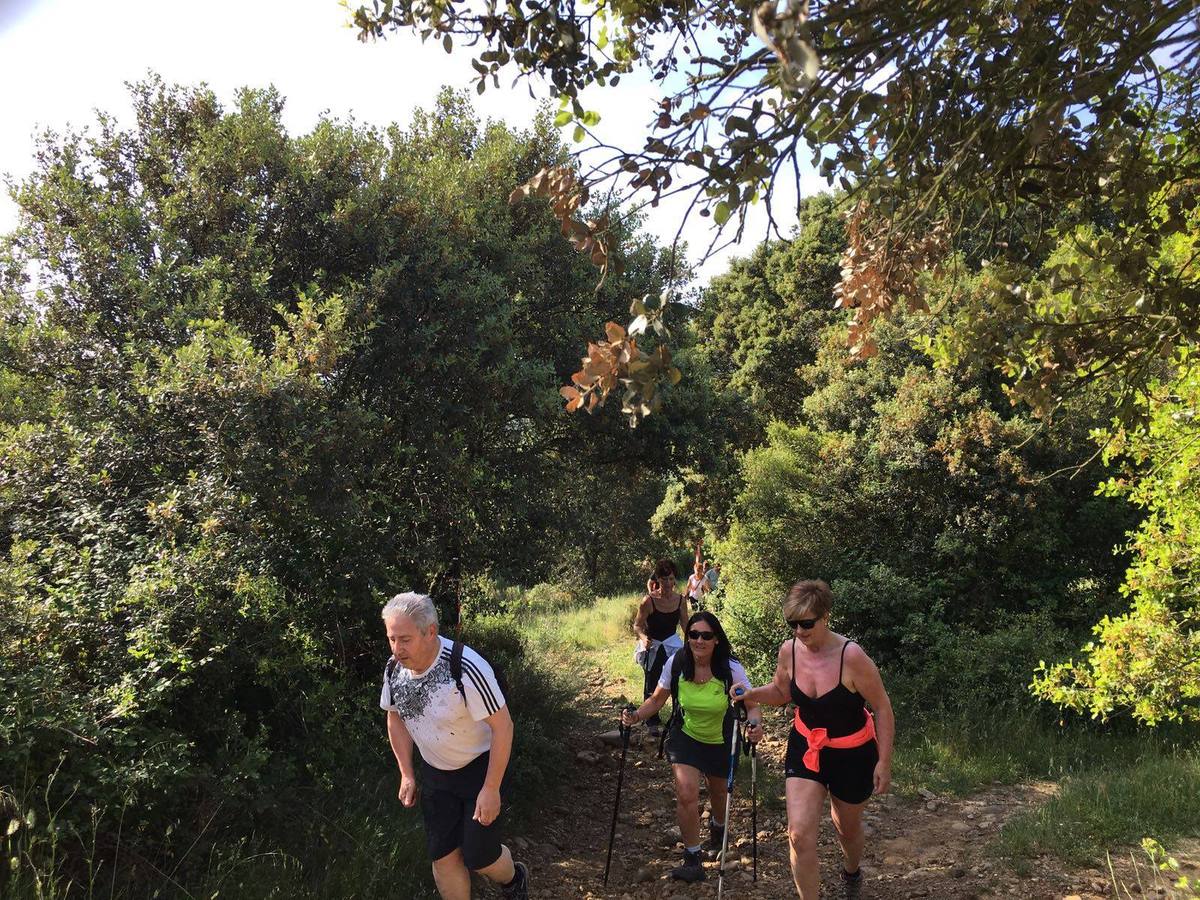 Marcha de Tudelilla por el valle