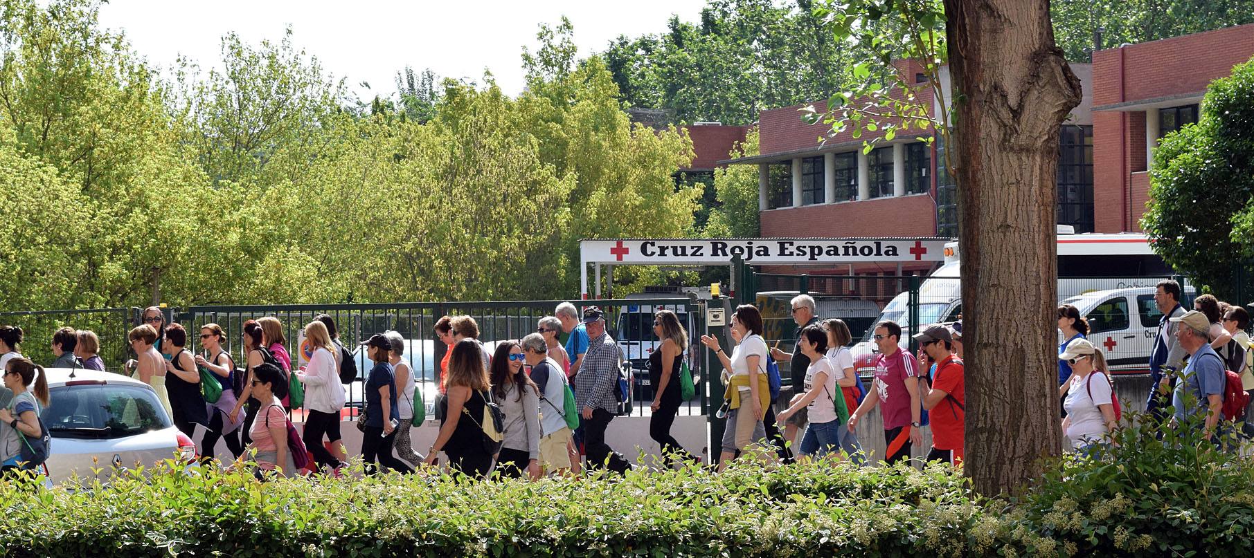 Cuarto y último Paseo Saludable de la 8ª edición al Mirador de los Viñedos