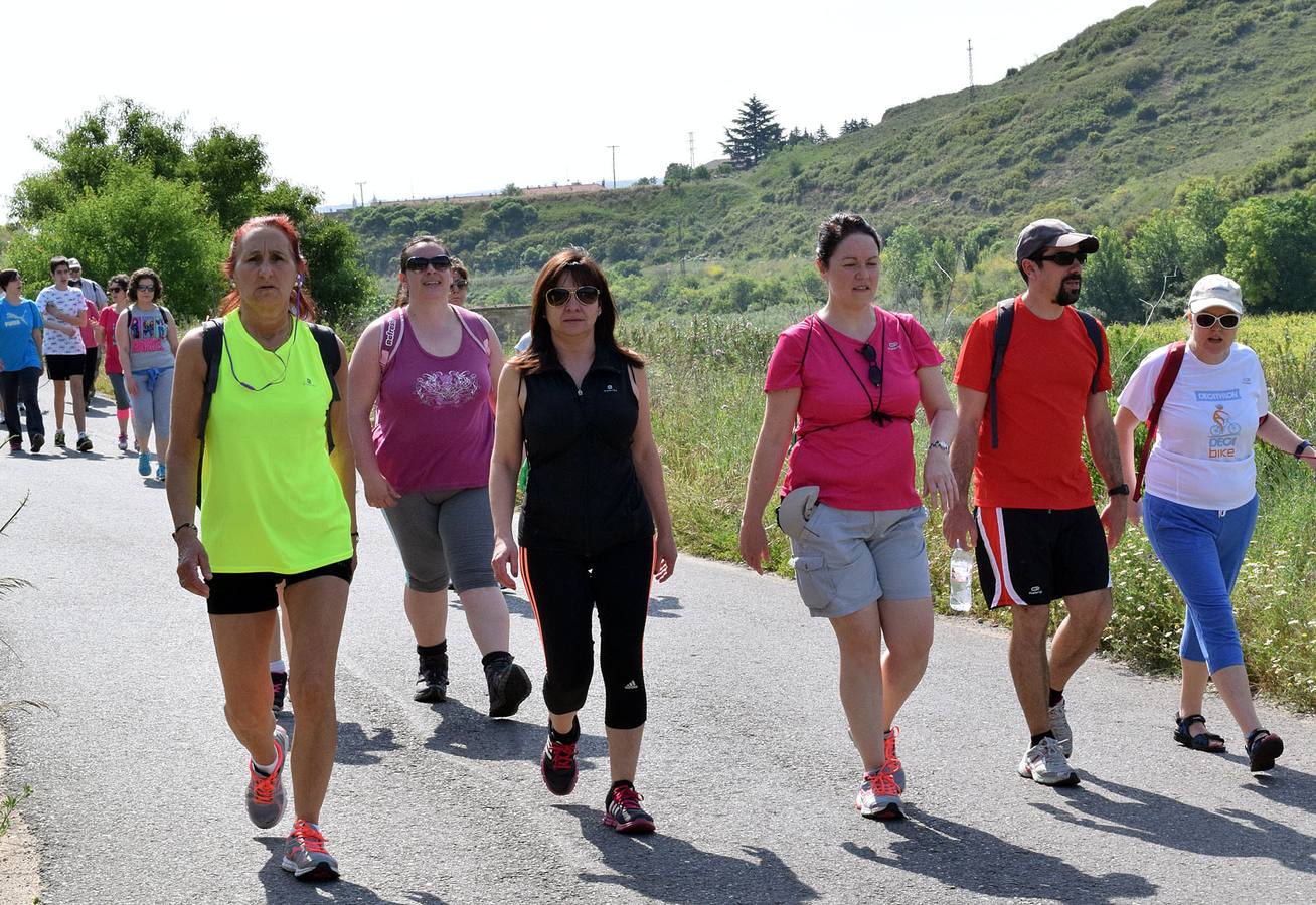 Cuarto y último Paseo Saludable de la 8ª edición al Mirador de los Viñedos