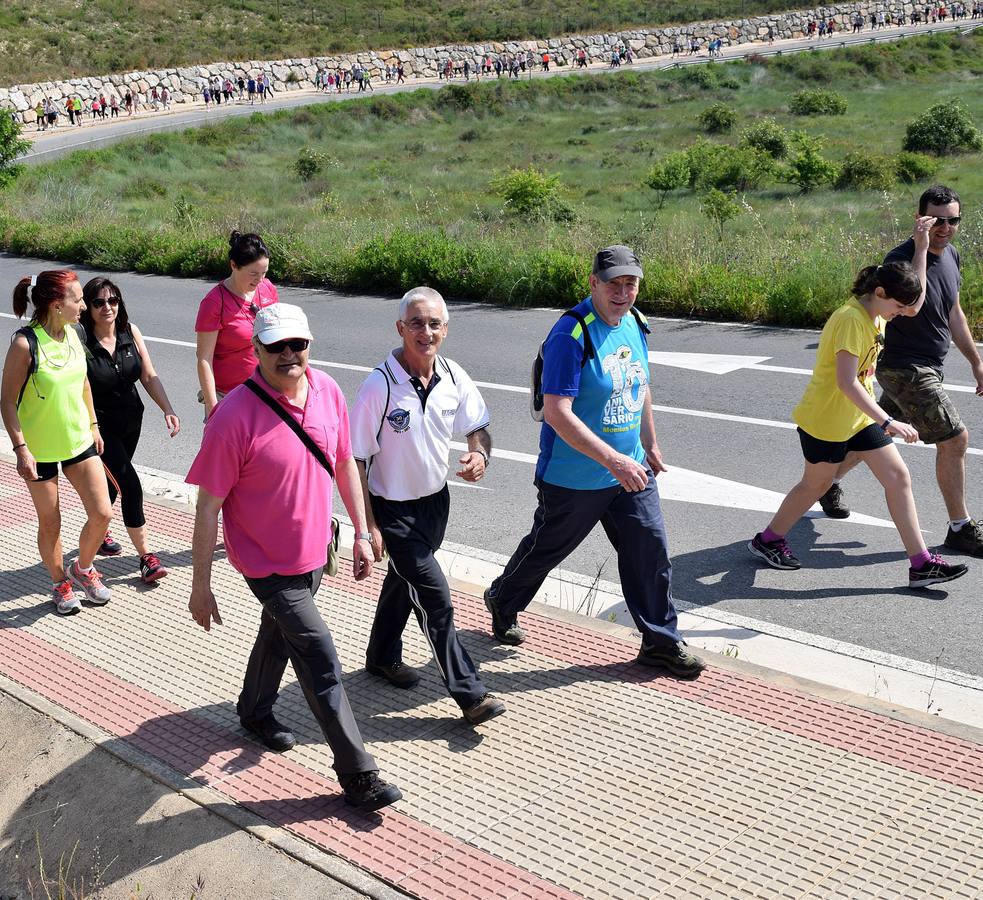 Cuarto y último Paseo Saludable de la 8ª edición al Mirador de los Viñedos