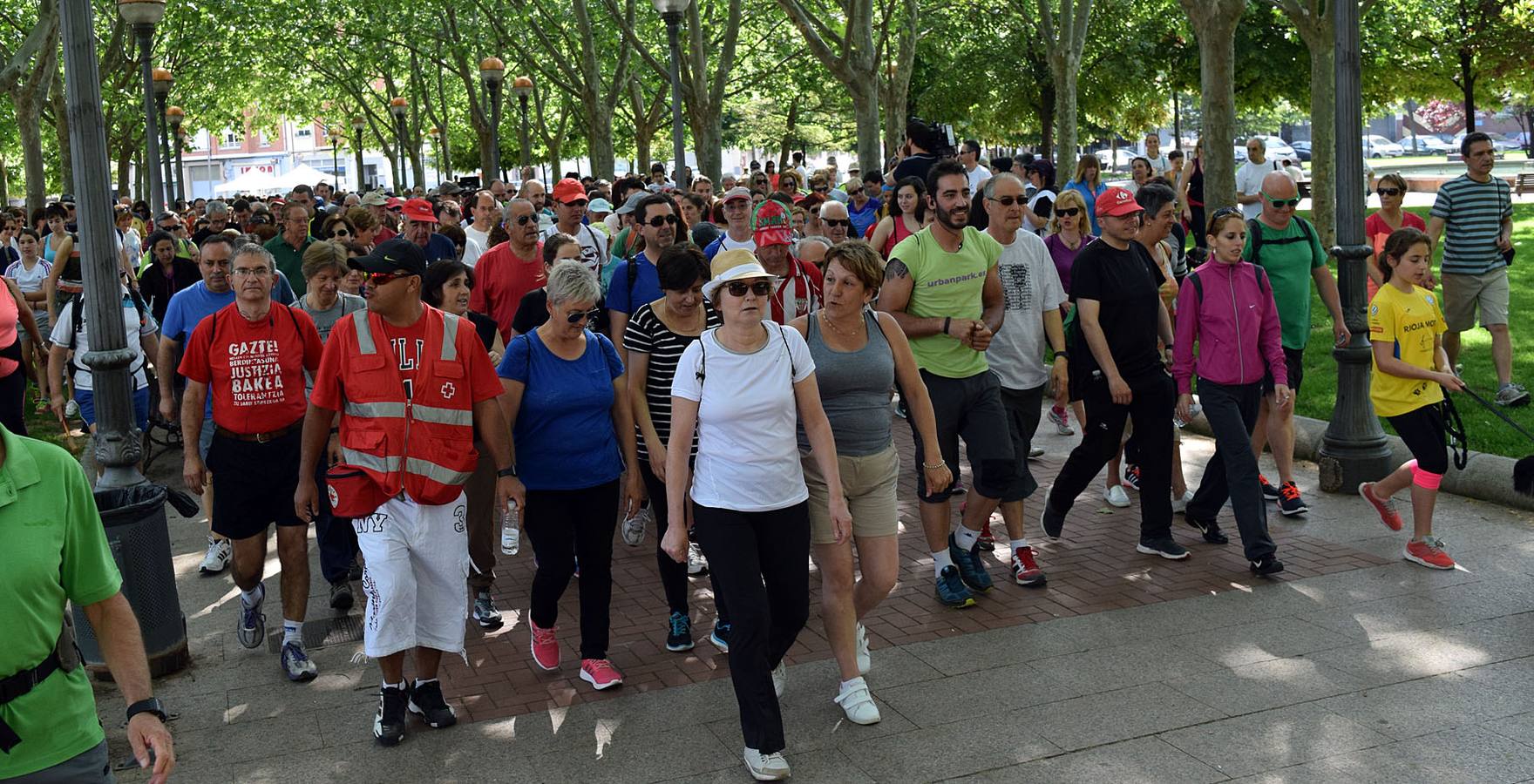 Cuarto y último Paseo Saludable de la 8ª edición al Mirador de los Viñedos