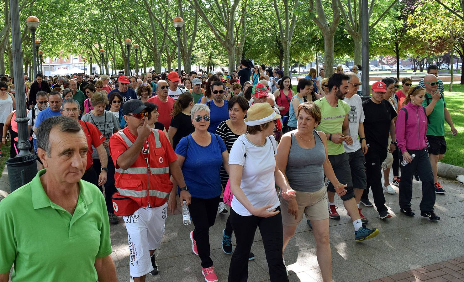 Cuarto y último Paseo Saludable de la 8ª edición al Mirador de los Viñedos