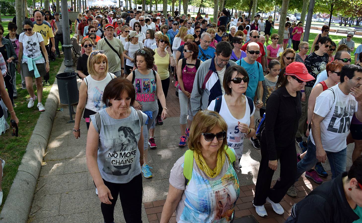 Cuarto y último Paseo Saludable de la 8ª edición al Mirador de los Viñedos