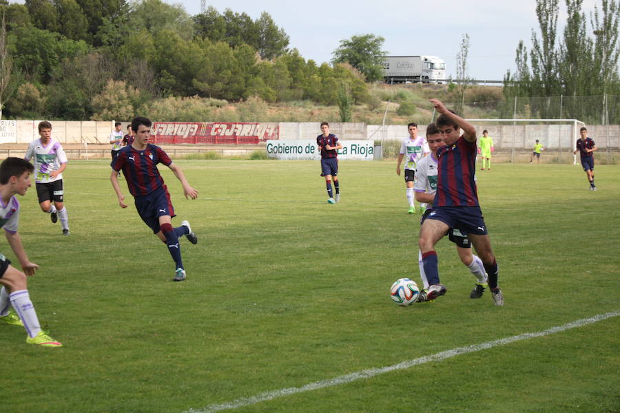 XXVI Torneo Escuela y XIX Torneo Cadete Ciudad de Alfaro