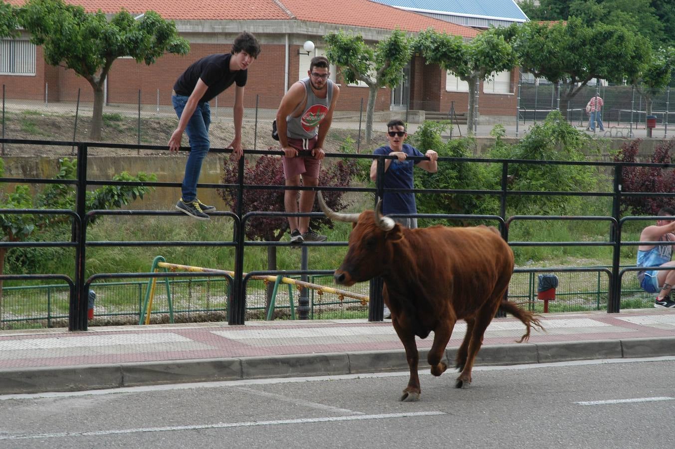 Cervera celebra el día de La Rioja