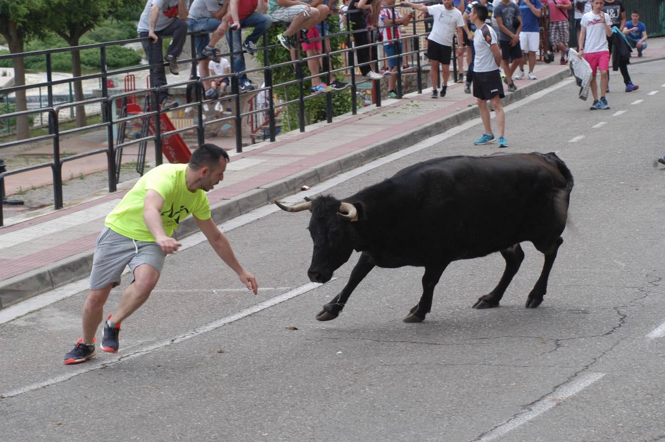 Cervera celebra el día de La Rioja