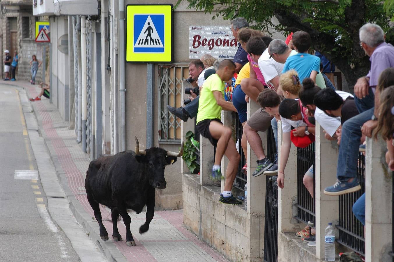 Cervera celebra el día de La Rioja