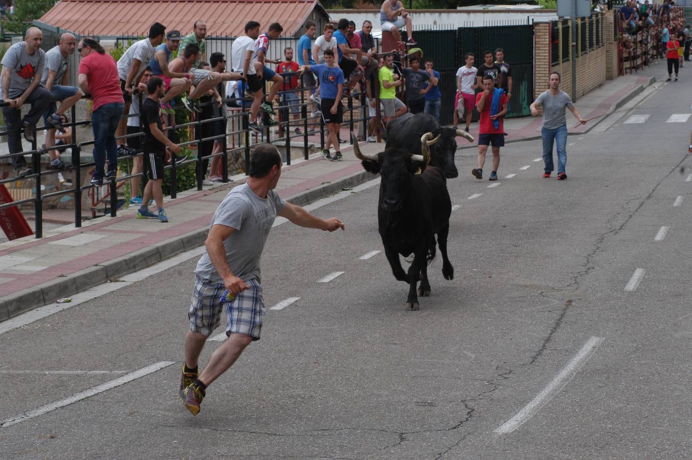 Cervera celebra el día de La Rioja