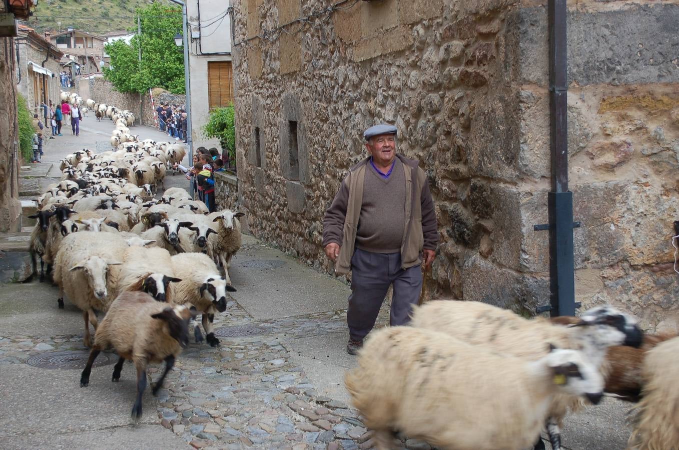 Fiesta de la Trashumancia