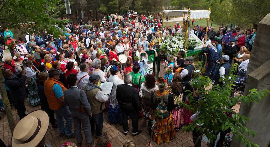 Romería de El Rocío en Logroño