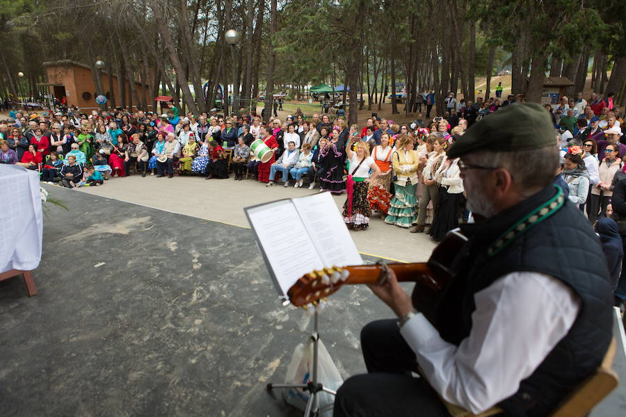 Romería de El Rocío en Logroño