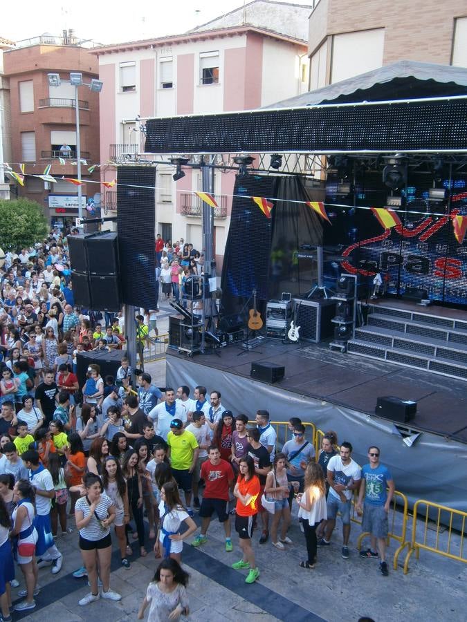 Fiestas de Lardero (II)