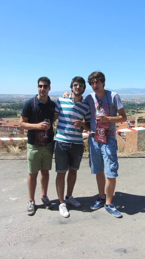Puertas abiertas en las bodegas de Villamediana