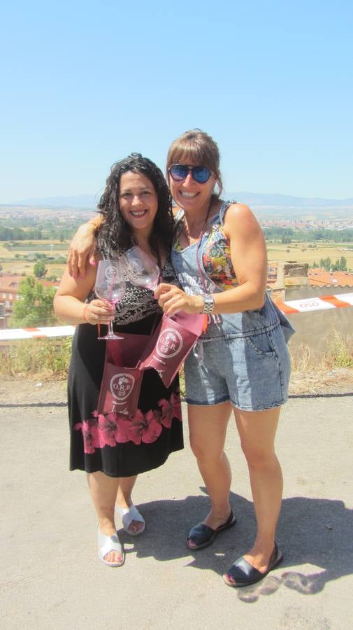 Puertas abiertas en las bodegas de Villamediana