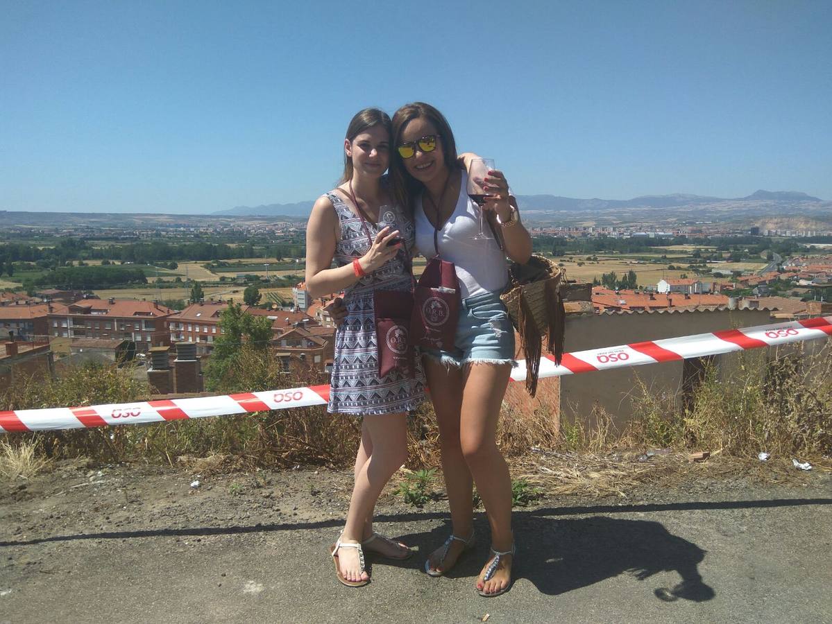 Puertas abiertas en las bodegas de Villamediana