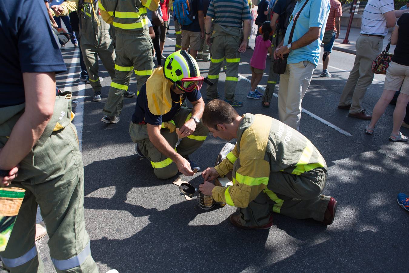 Los retenes se manifiestan para reclamar la categoría de Bombero Forestal