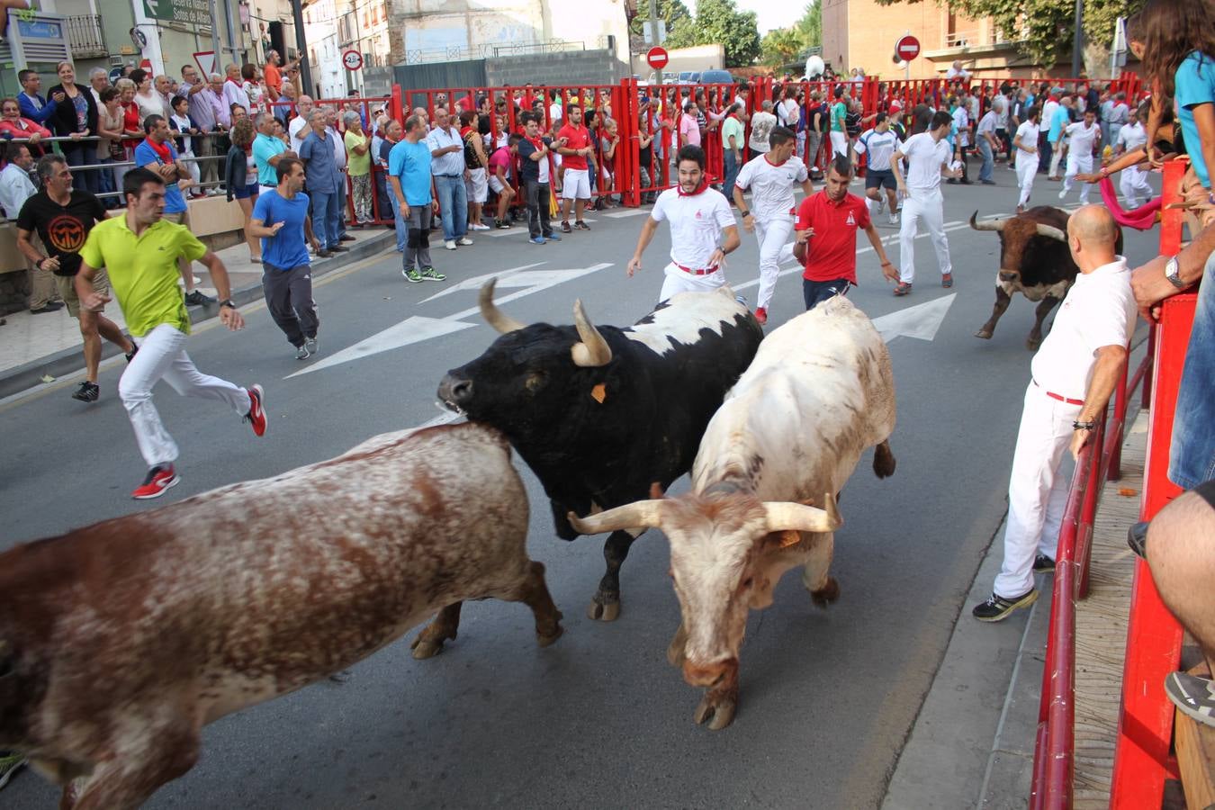 Día grande en Alfaro