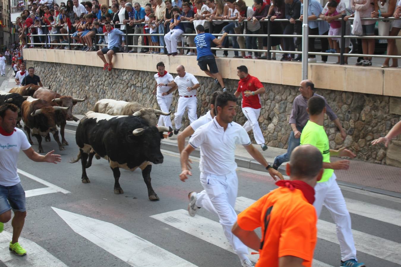 Día grande en Alfaro