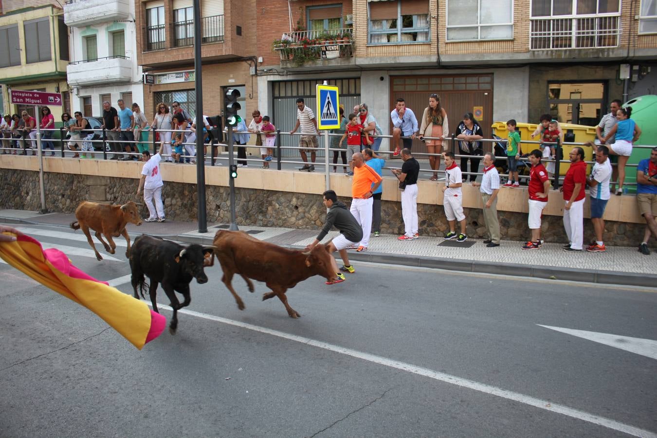 Día grande en Alfaro