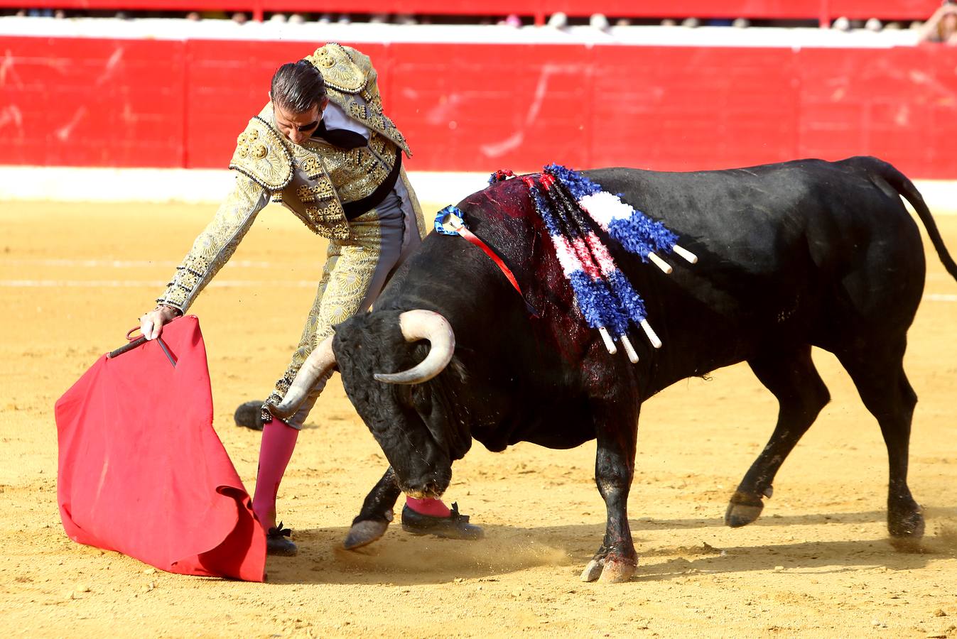 Gran tarde de toros en Alfaro