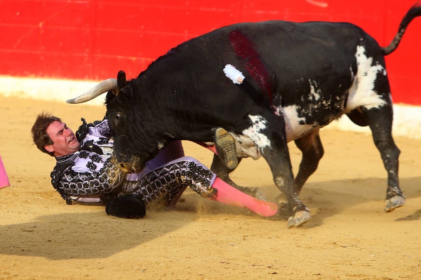 Gran tarde de toros en Alfaro