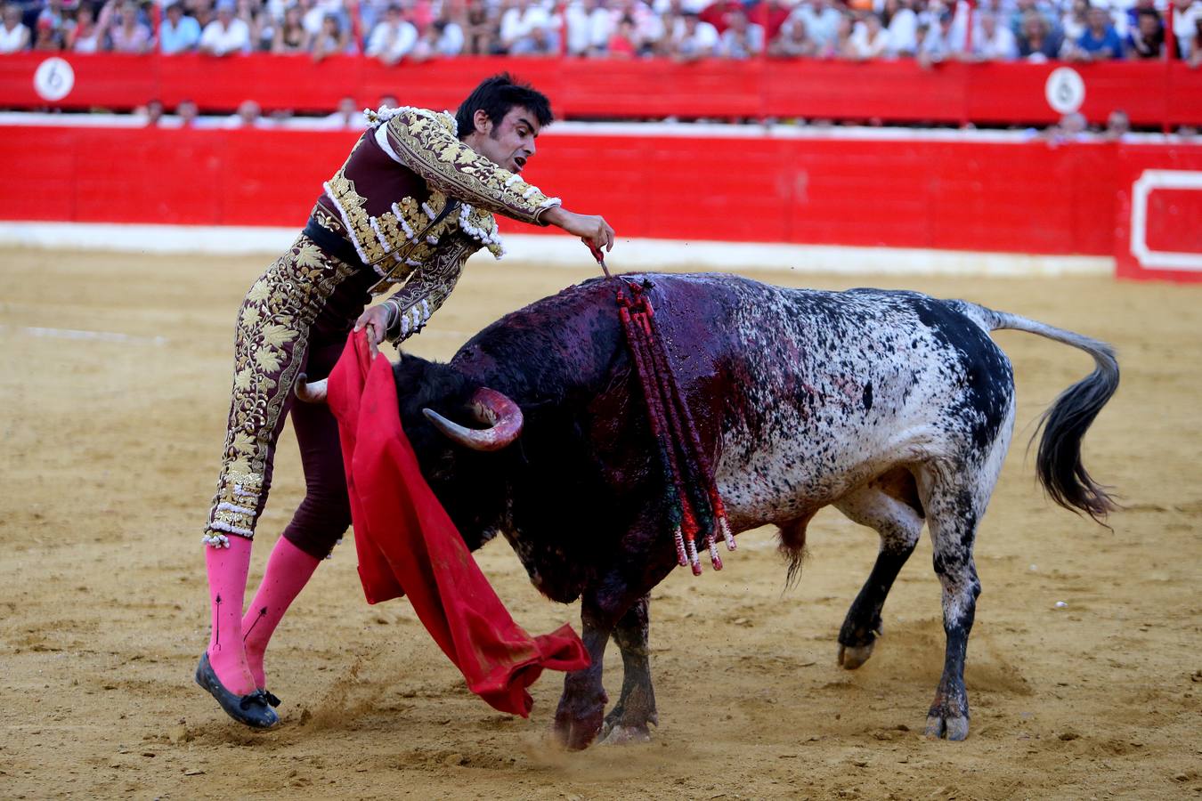 Gran tarde de toros en Alfaro