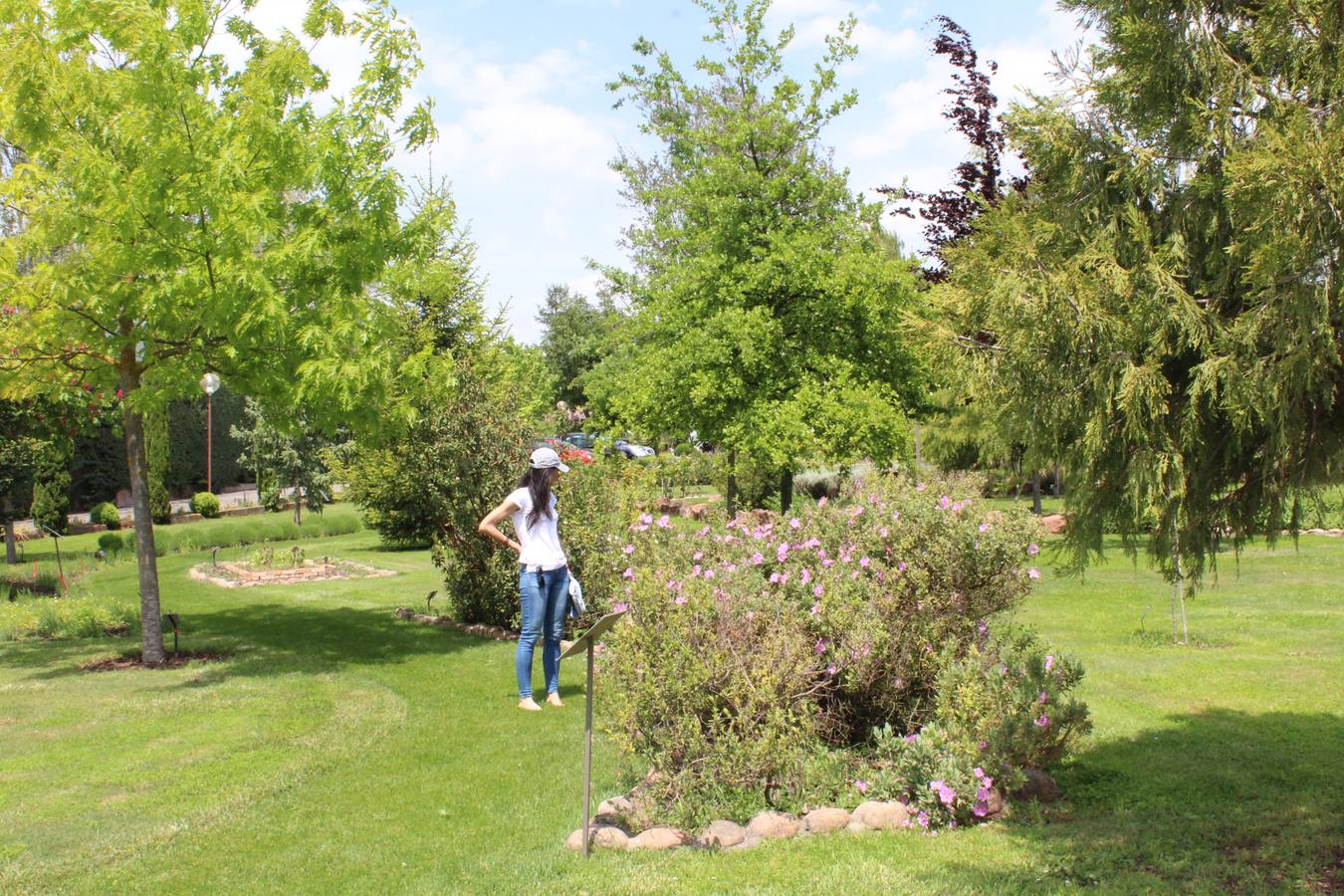 Delicias en La Rioja