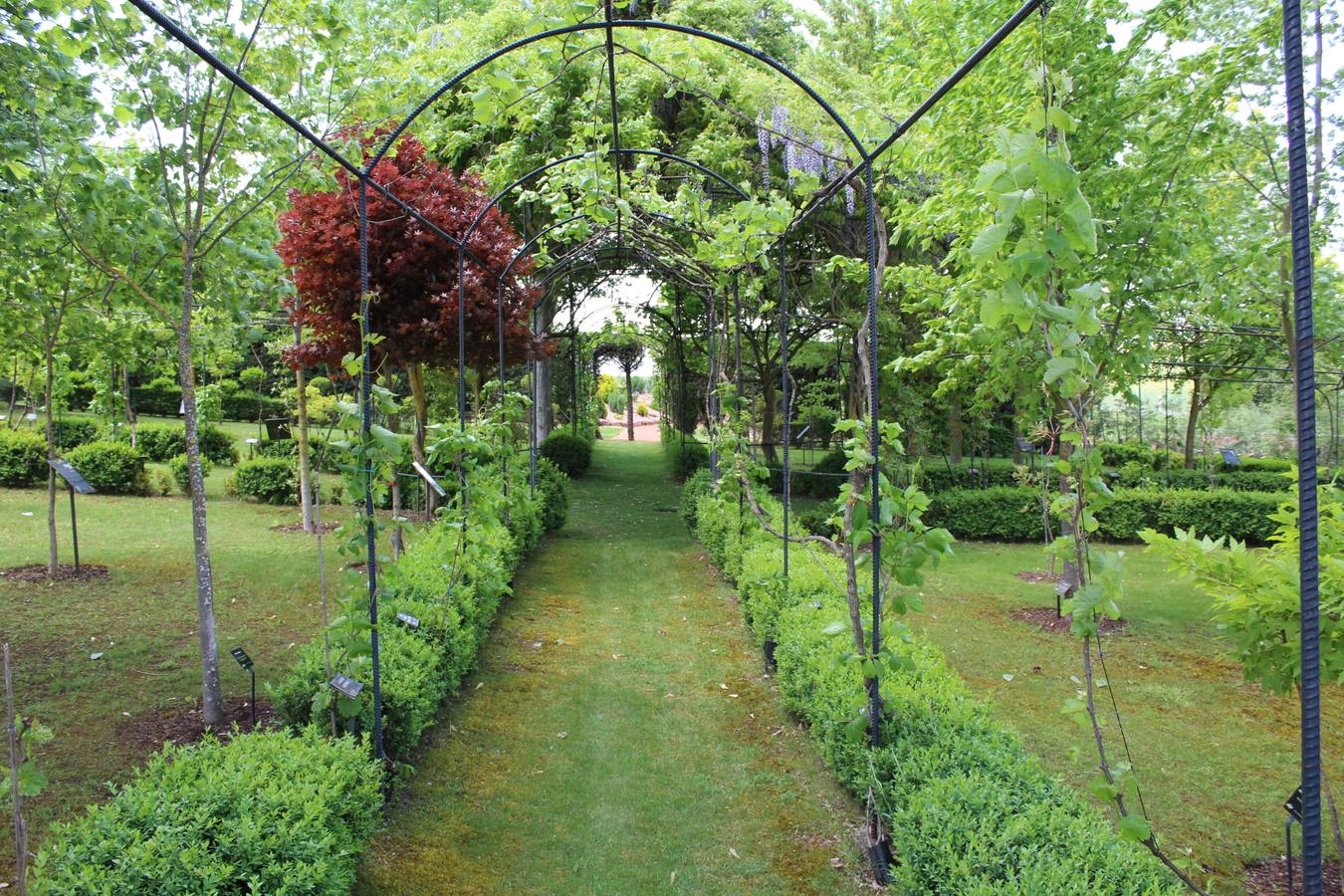 Delicias en La Rioja