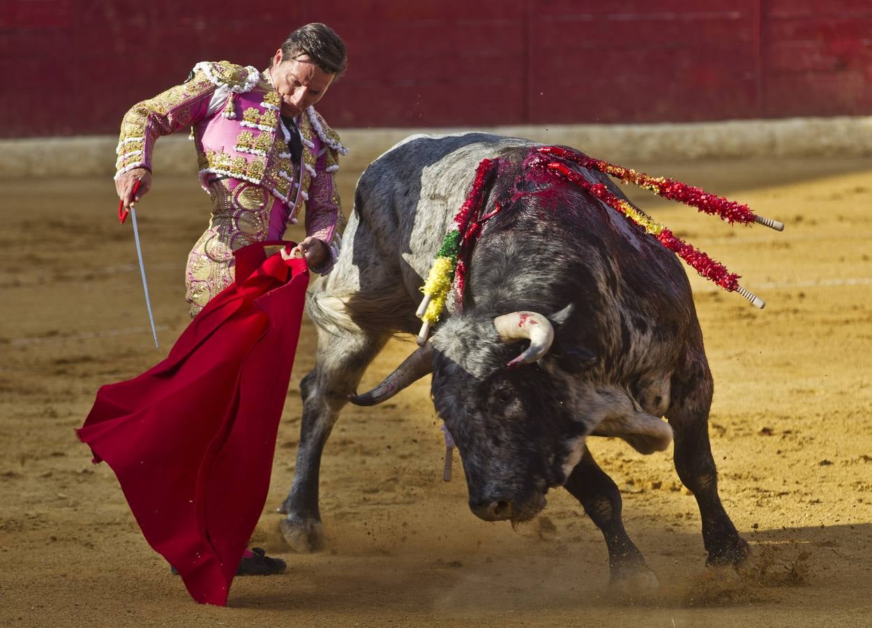 Toros en las fiestas de Calahorra