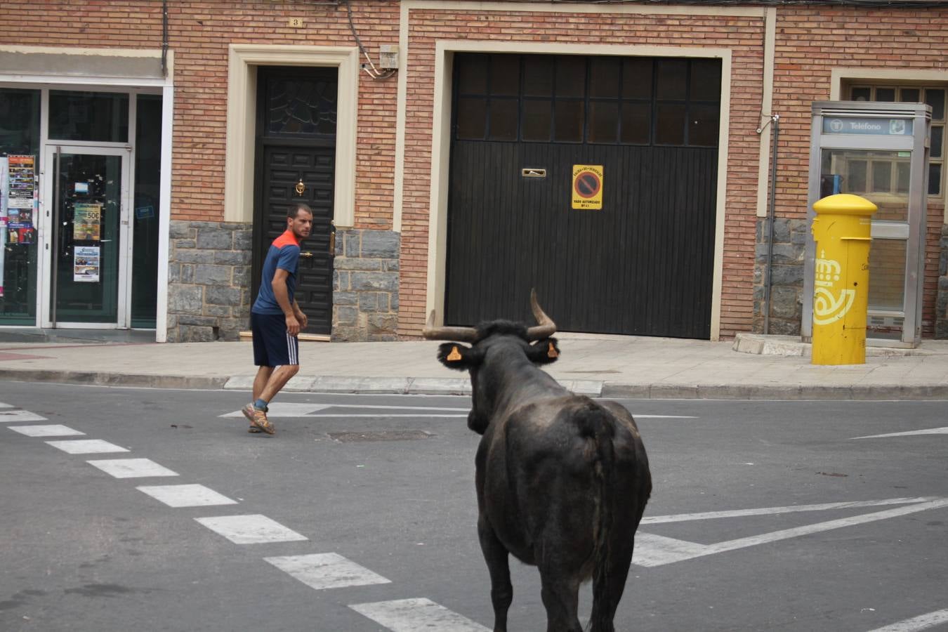 Día grande por la virgen del Burgo en Alfaro