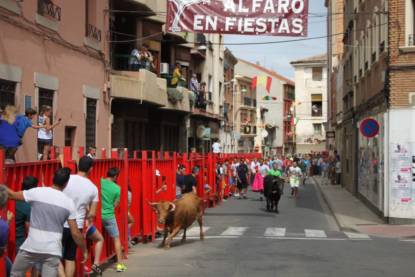 Día grande por la virgen del Burgo en Alfaro