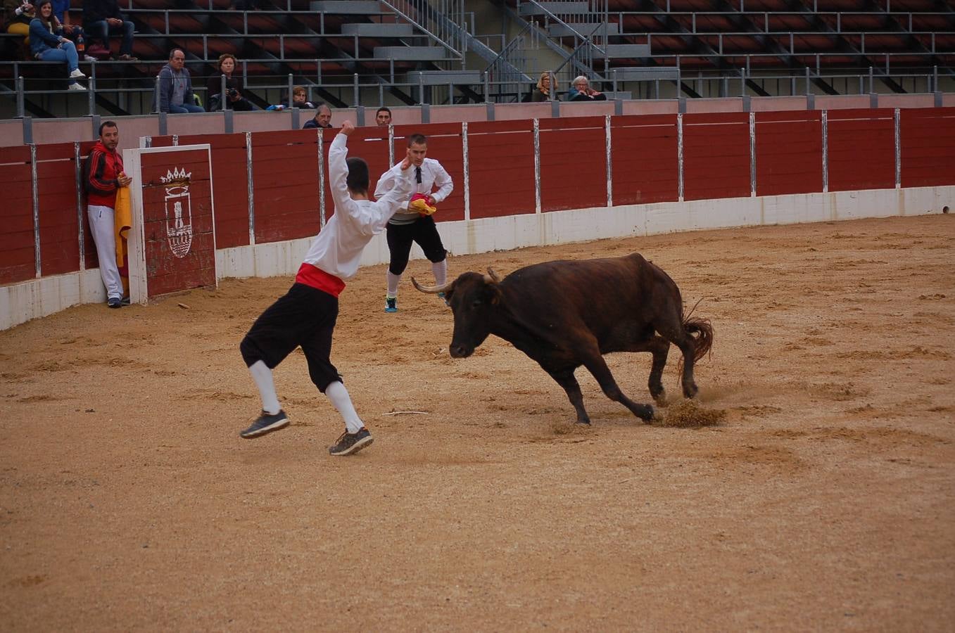 Nájera en fiestas