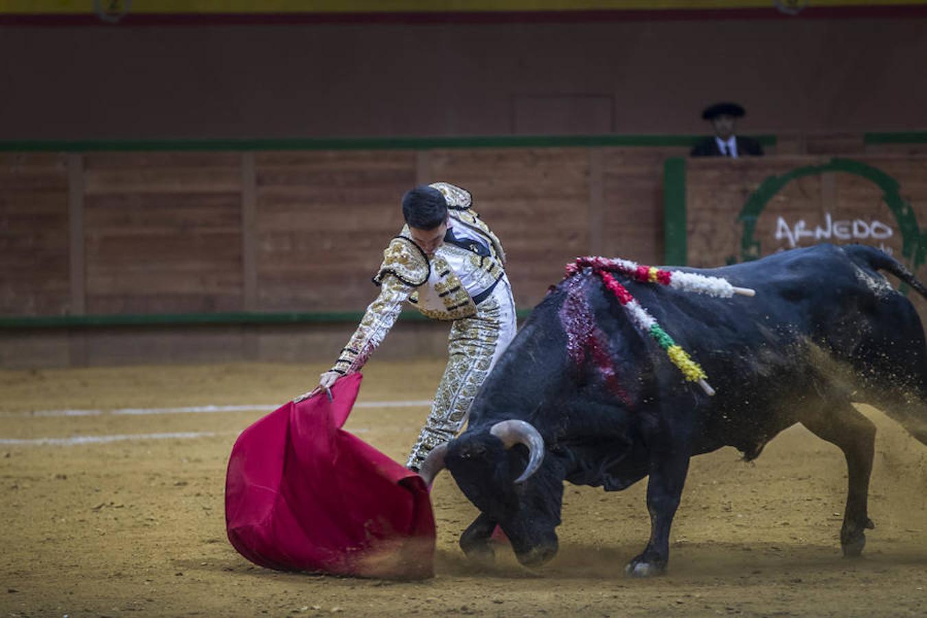 Novillada de Arnedo