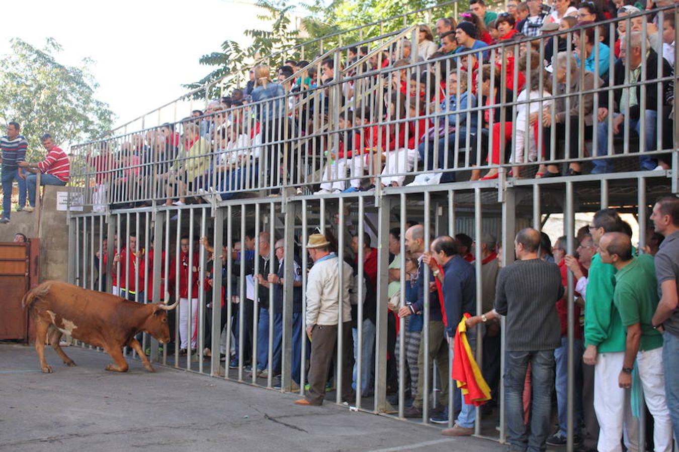 Cuarto día de fiestas en Arnedo