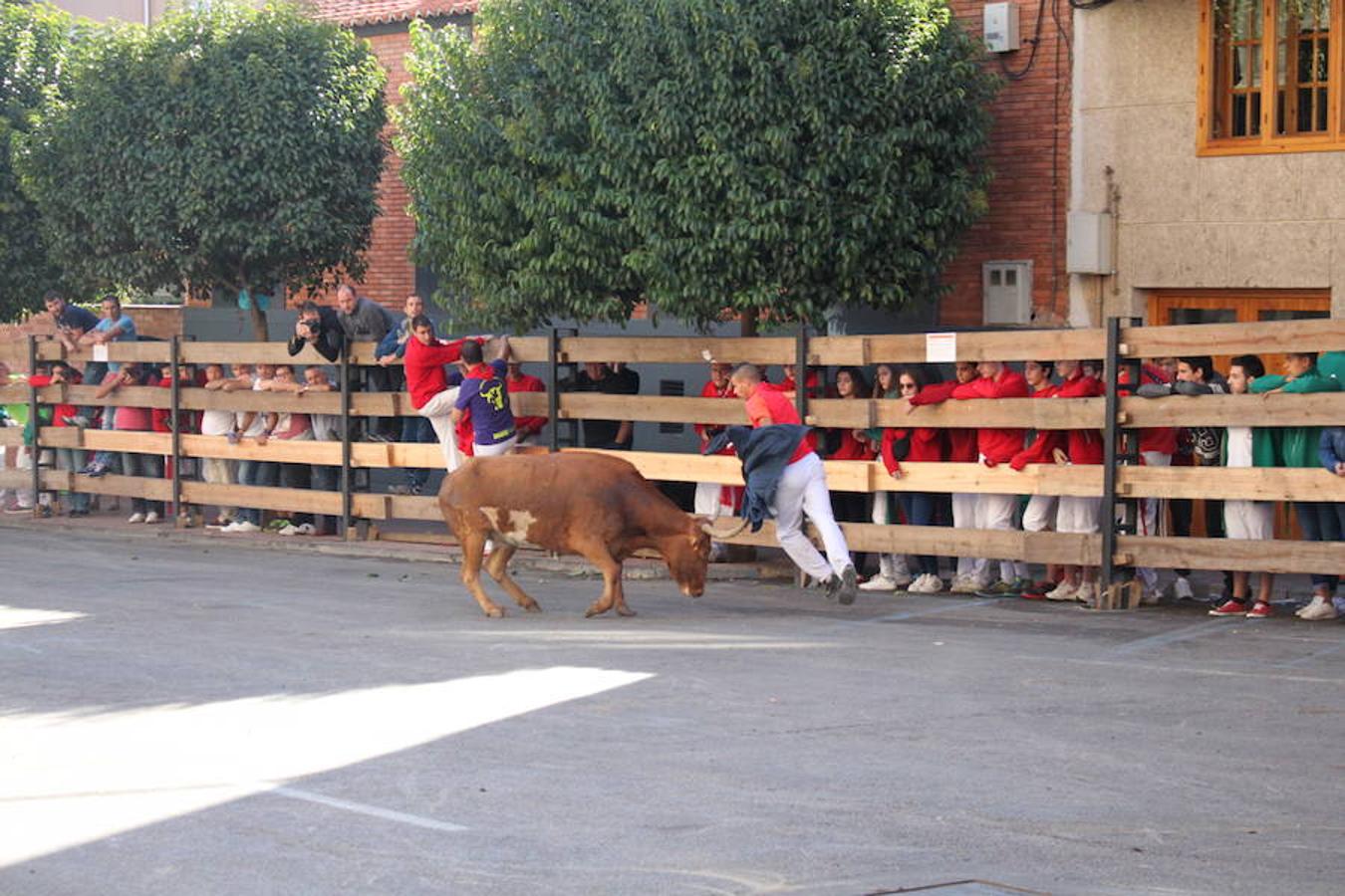 Cuarto día de fiestas en Arnedo