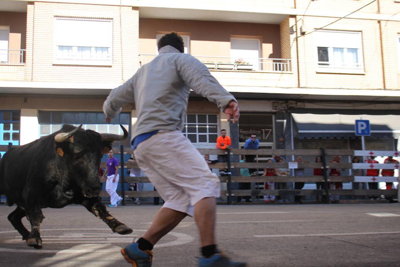 Cuarto día de fiestas en Arnedo