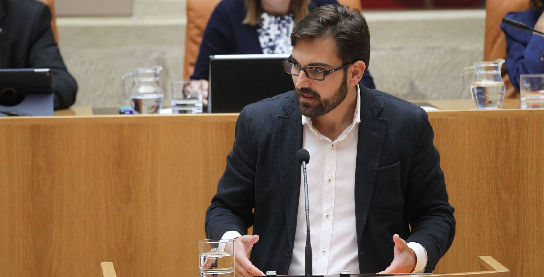 Los gestos en el Pleno del Parlamento riojano