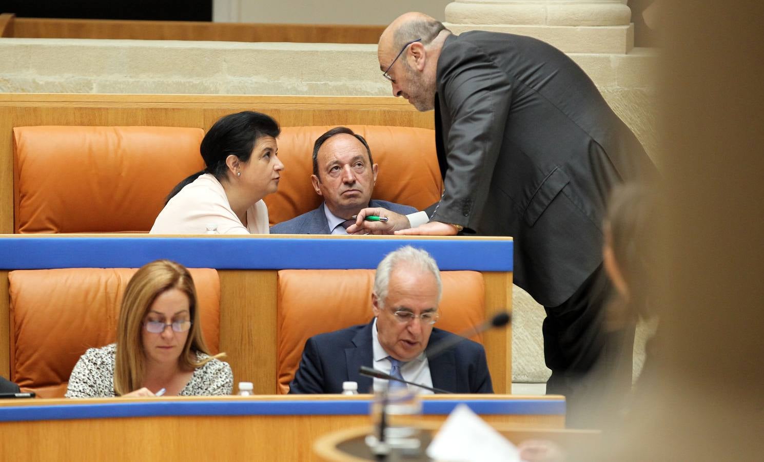 Los gestos en el Pleno del Parlamento riojano