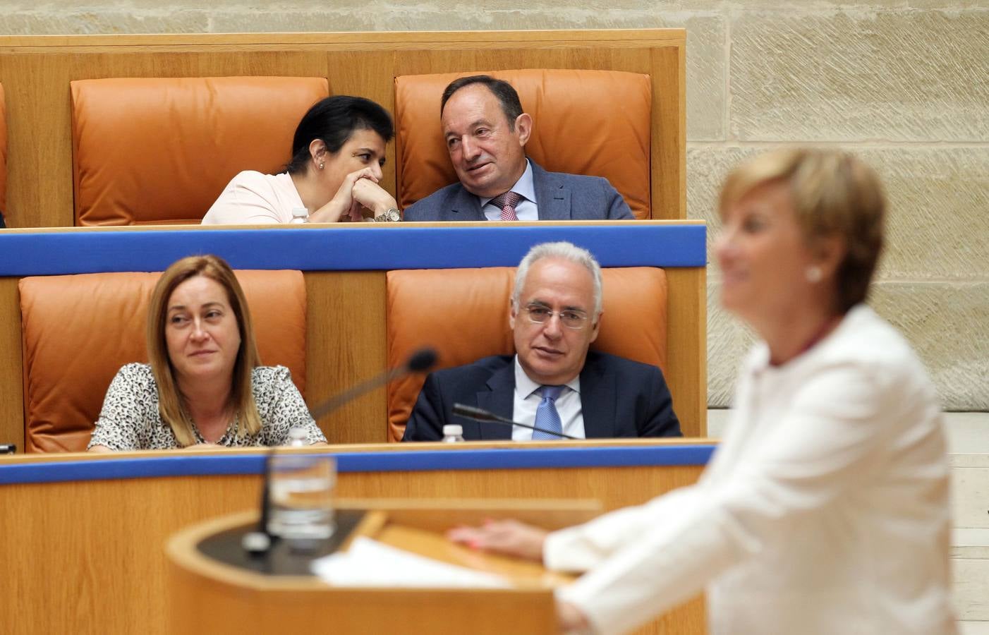 Los gestos en el Pleno del Parlamento riojano