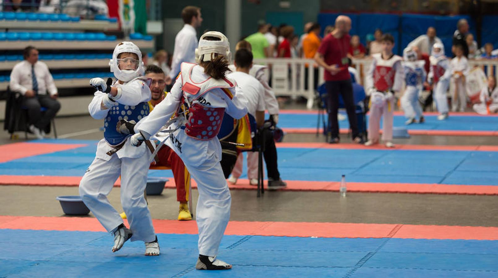 Torneo de la Vendimia de taekwondo