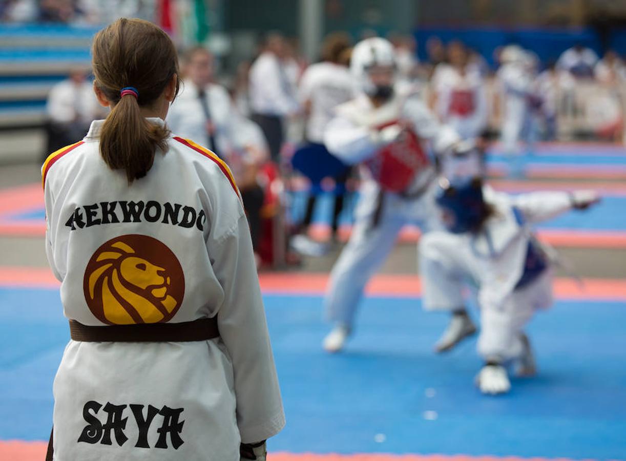 Torneo de la Vendimia de taekwondo