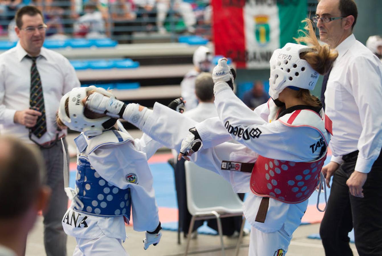 Torneo de la Vendimia de taekwondo