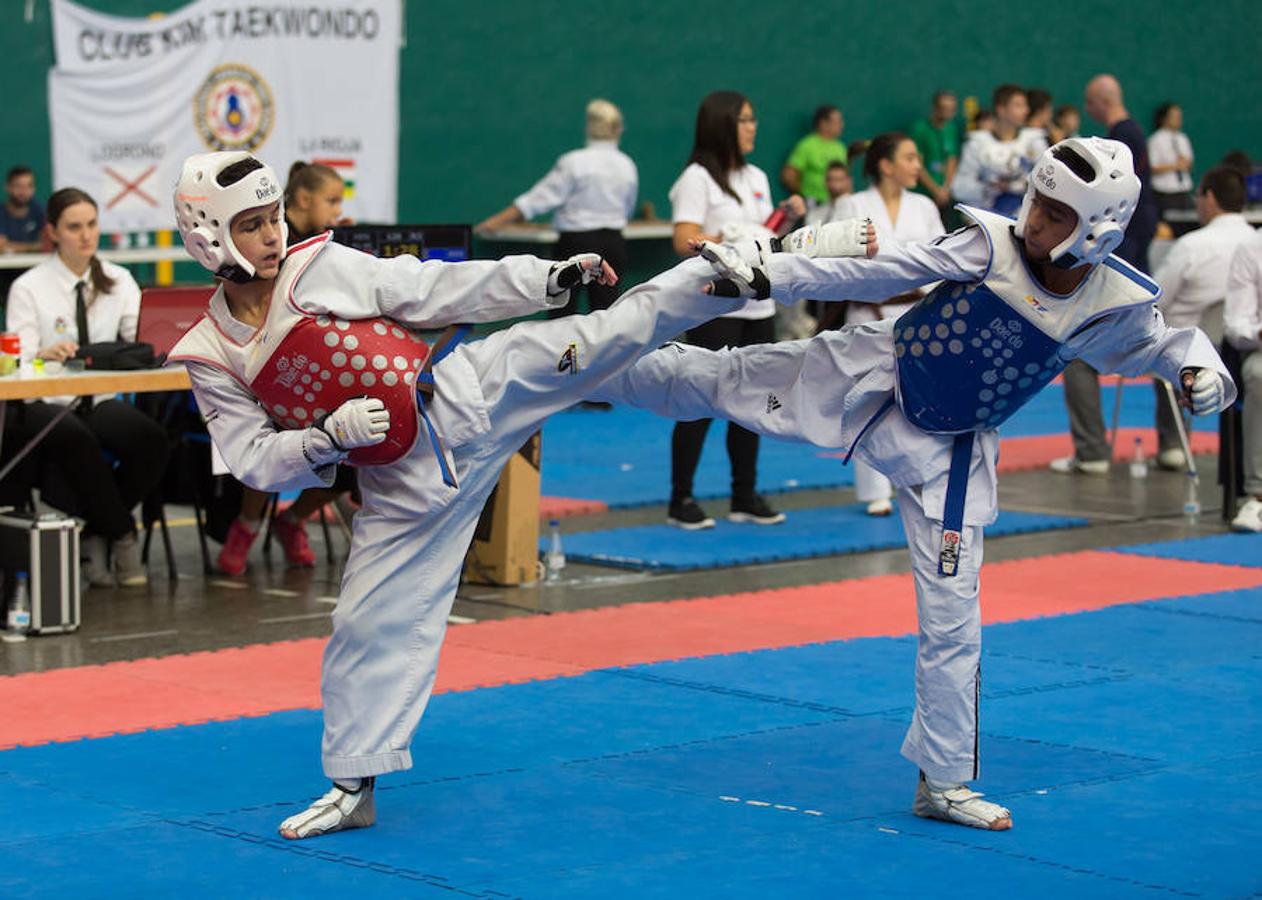 Torneo de la Vendimia de taekwondo