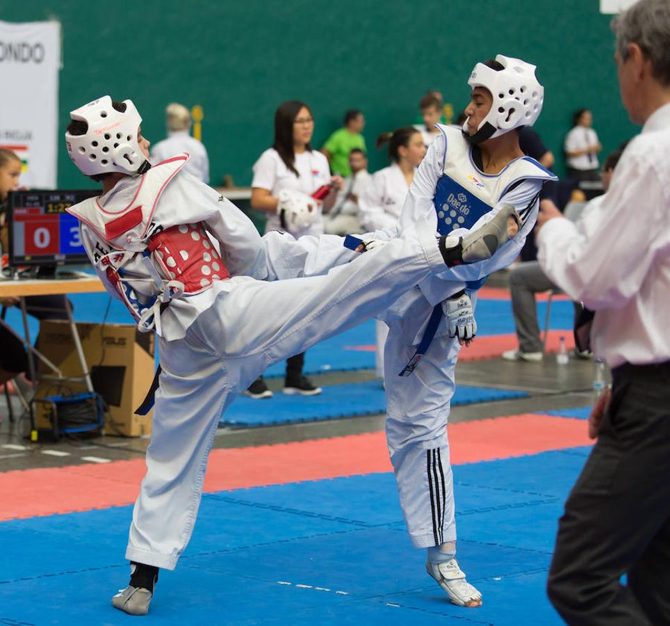 Torneo de la Vendimia de taekwondo